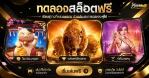 ทดลองสล็อตฟรี เรียนรู้เกมที่หลากหลาย ด้วยประสบการณ์ของผู้ใช้