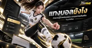 แทงบอลยังไง ทำความรู้จักพนันบอลและระบบการเดิมพันในมุมมือใหม่